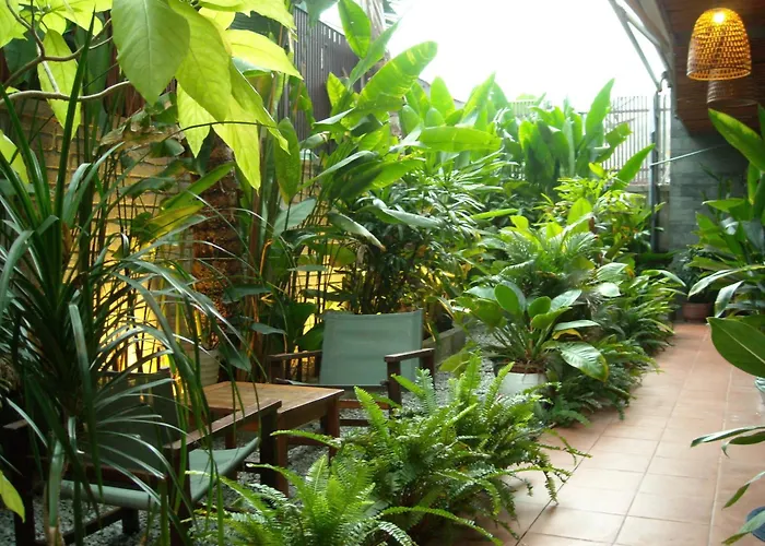 Tropical Home Villa