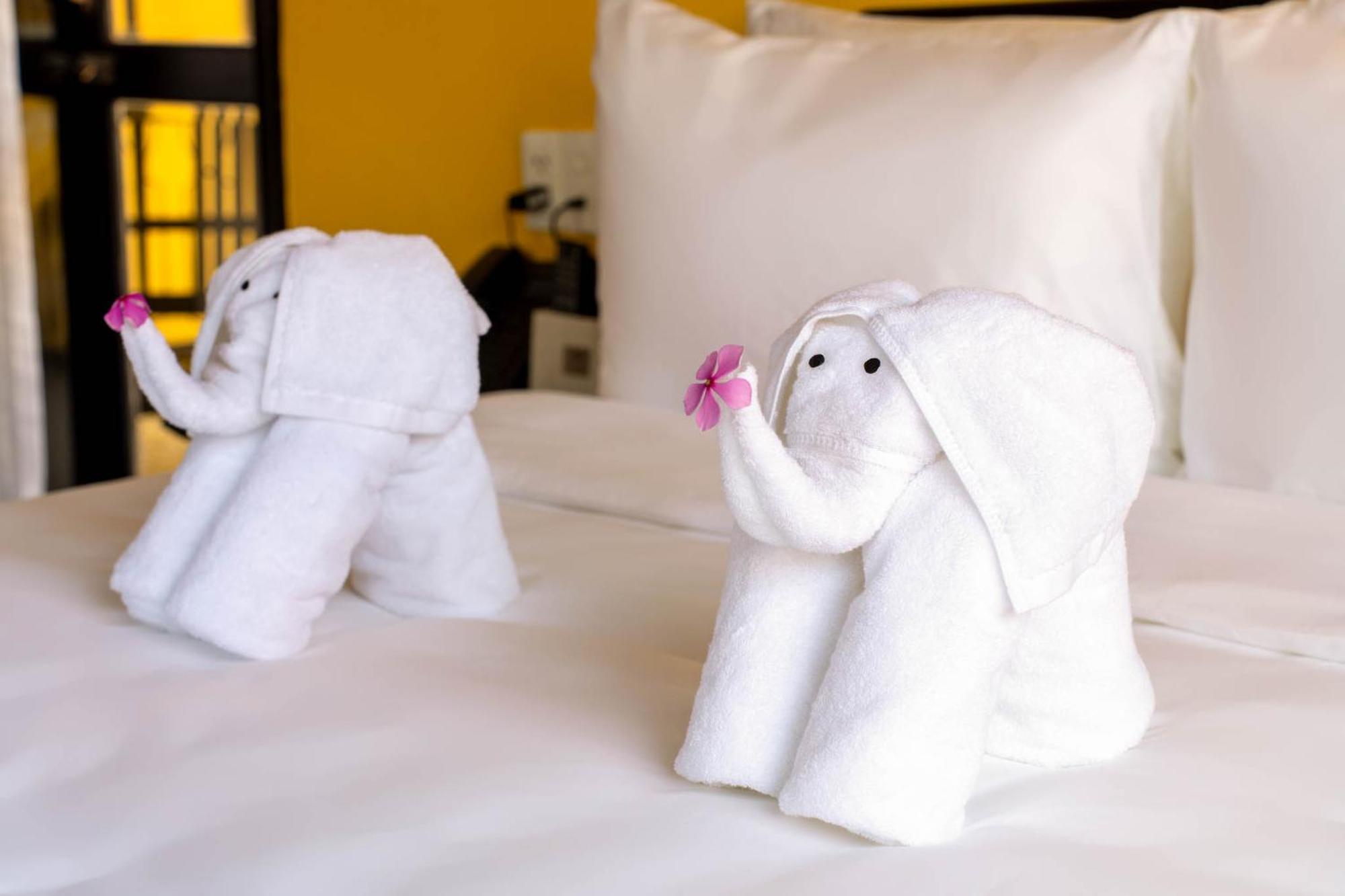 Suite Gia Đình Deluxe