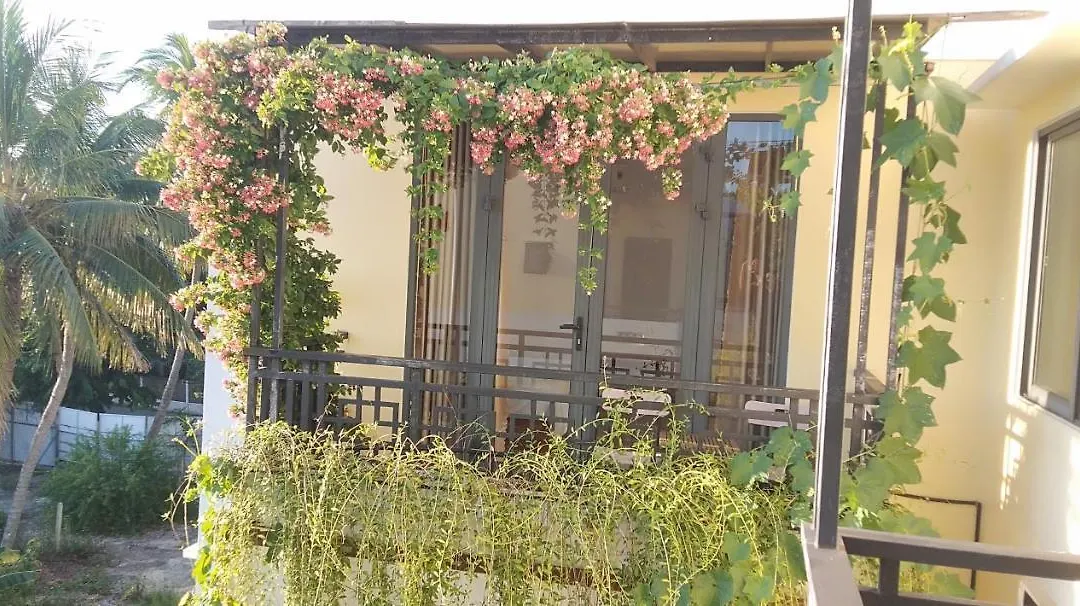 Hoi An New Life Homestay & Villa-1