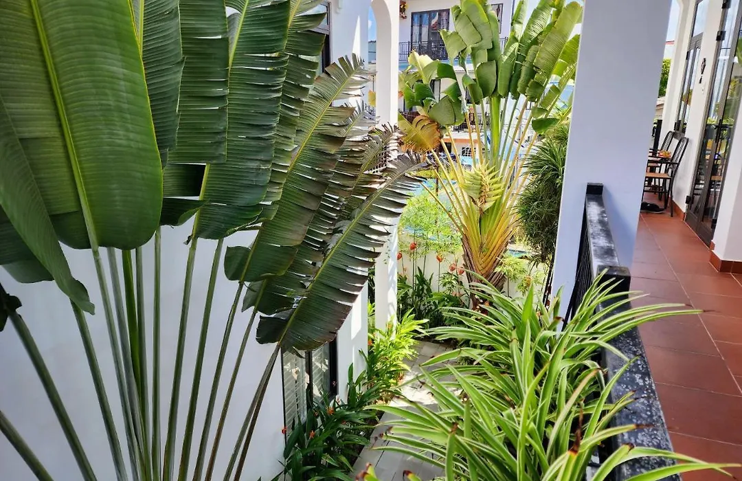 Vincent'S House-1