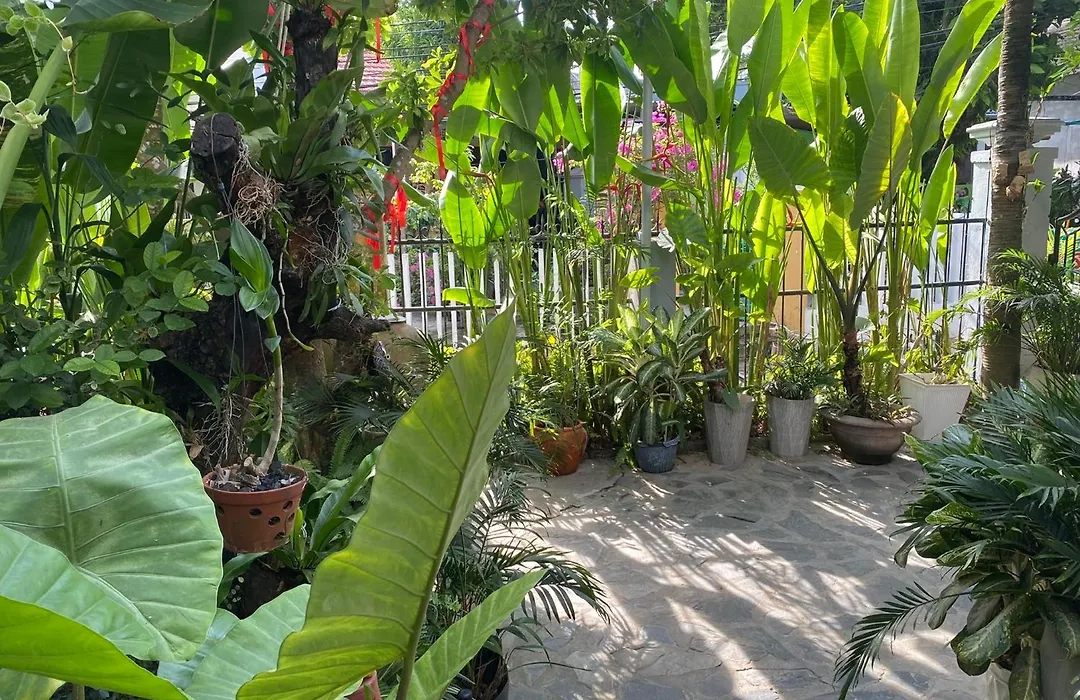 Hoi An Sunny Garden-1