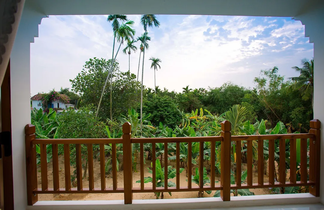 New Sunshine Homestay-1