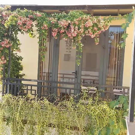 Hoi An New Life Homestay & Villa-2