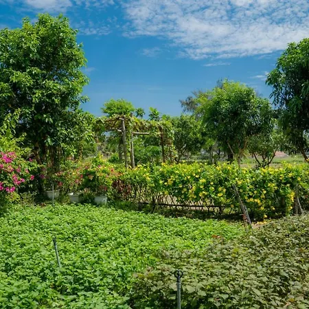 Tra Que Flower Homestay-2