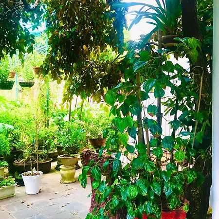 Pebble Homestay-2