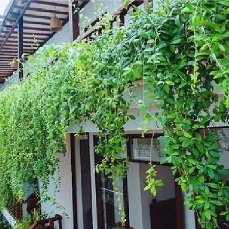 Riverside Plum Garden Villa-2