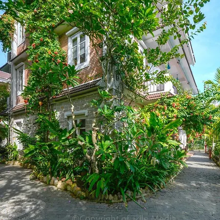 Ancient Garden Boutique Hoi An-2