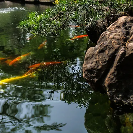 Almanity Hoi An Resort & Spa-3