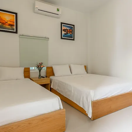 D Central Hoi An Homestay-3