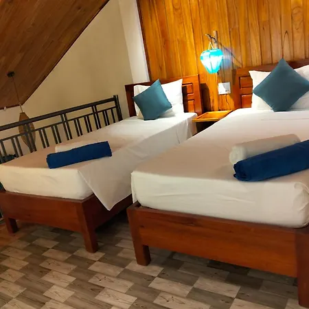 Anbang Morning Glory Beach Homestay 호이안 안방비치 숙소호텔-3