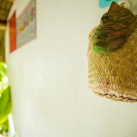 An Bang Purple Homestay-3