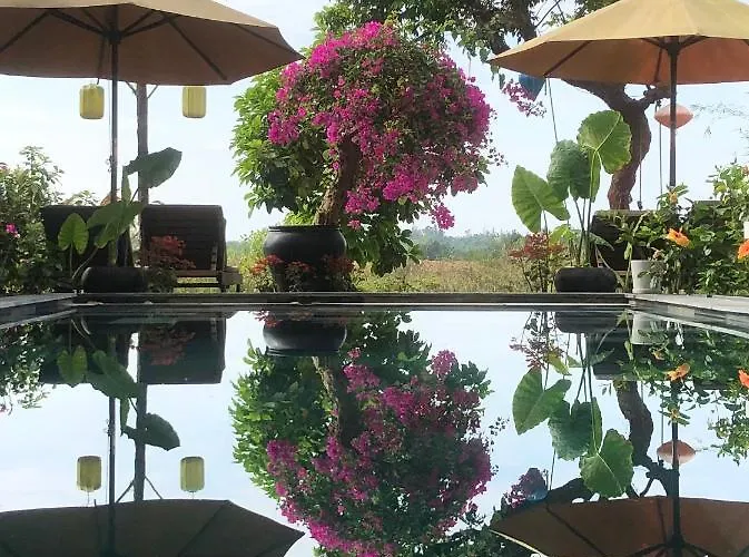 The Quin Riverside Villa Hội An, Vietnam