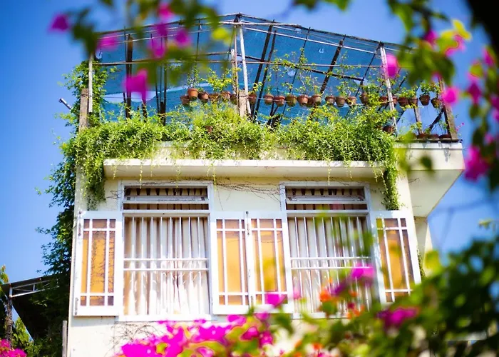 Skybird Homestay