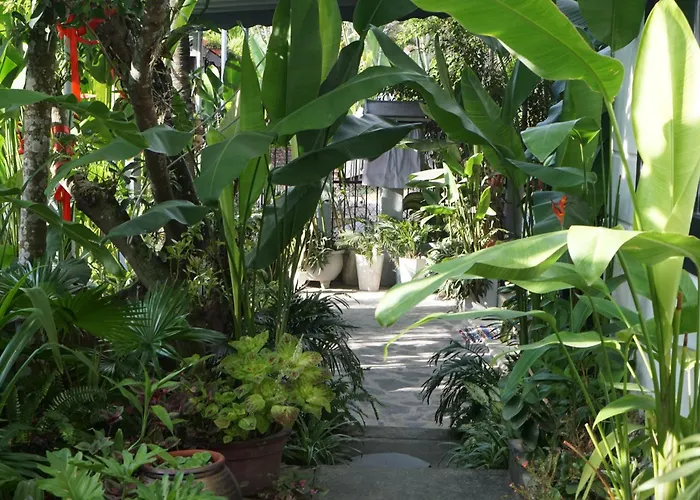 Sunny Garden Homestay