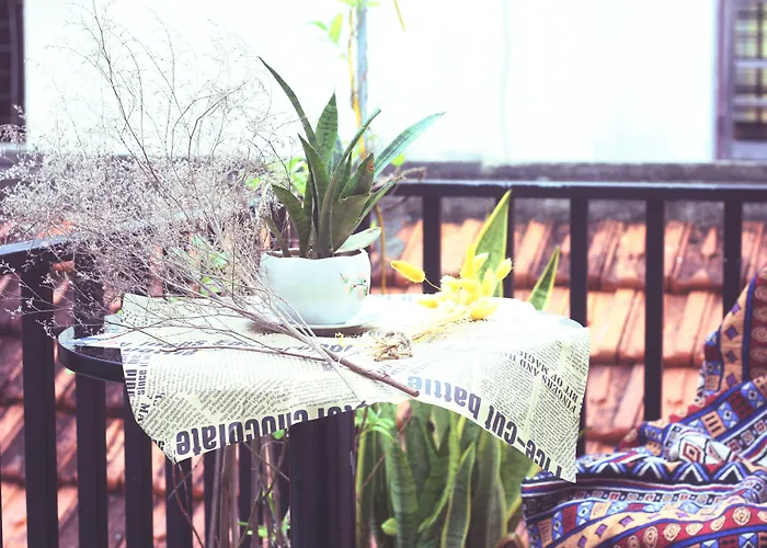 Longan Homestay Hoi An, Vietnam