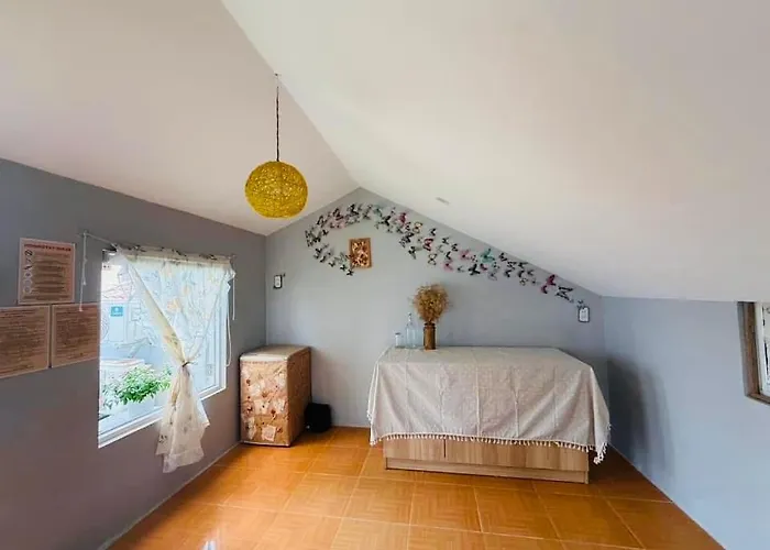 Hội An Spirit Homestay