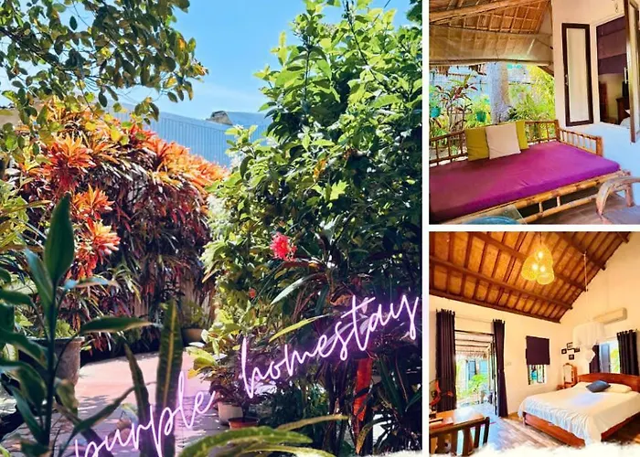 An Bang Purple Homestay