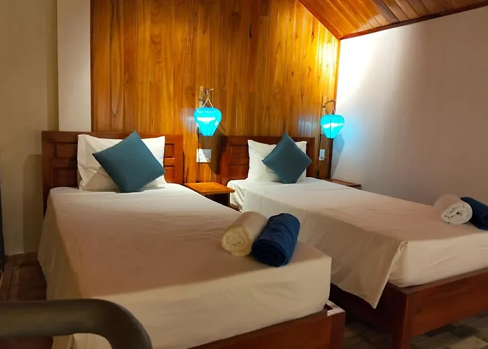 Anbang Morning Glory Beach Homestay 호이안 안방비치 숙소호텔