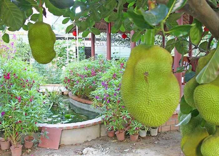 Countryside Garden Homestay Hoi An, Vietnam