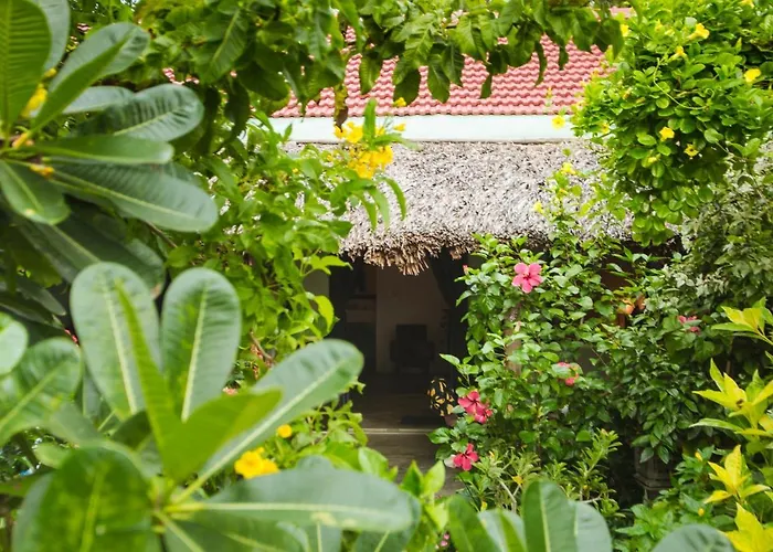 An Bang Purple Homestay